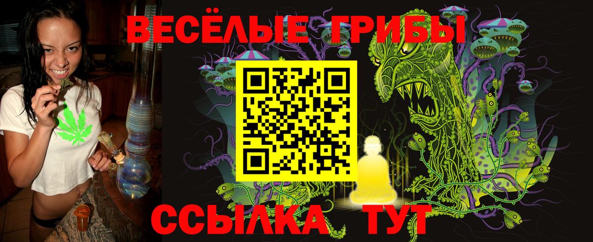 Псилоцибиновые грибы GOLDEN TEACHER Видное